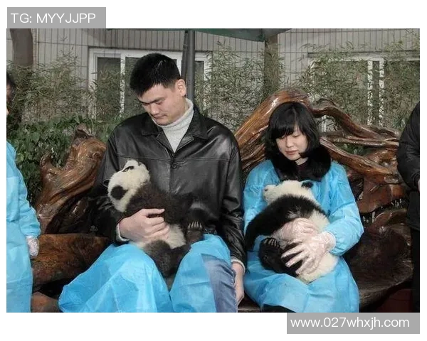 足球球星与熊猫谁更具影响力与魅力的全面对比分析 足球球星与熊猫谁更具影响力与魅力的全面对比分析